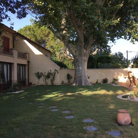 Bed and Breakfast Mas Halcyon Provence Aviñón Exterior foto